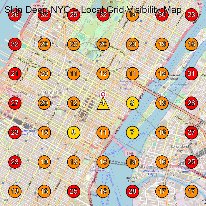 Skin Deep NYC GeoGrid visibility map for Medical Spa in New York